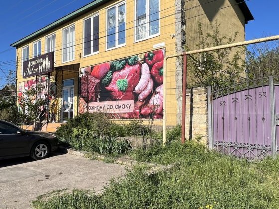 Продам жилой дом с встроенным магазином в пгт. Великодолинское Великодолинське