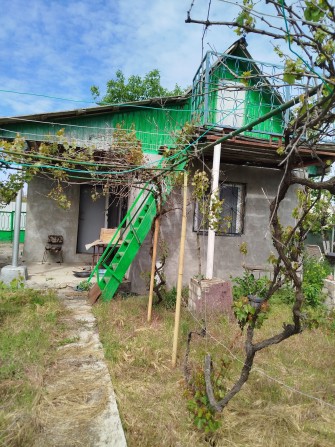 Домик в Светлом. Новые дачи - фото 1