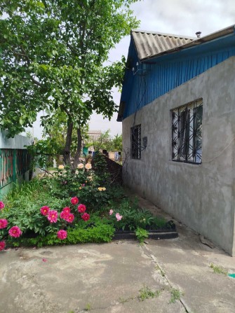 Компактная дача в Светлом - фото 1