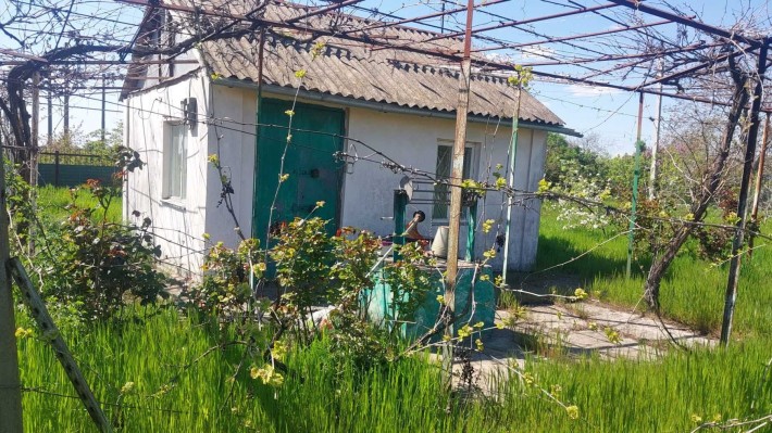 Дачний будинок у найближчому передмісті Одеси – Світле (Старі дачі). - фото 1