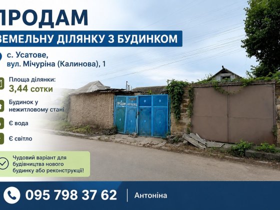 Продам будинок Усатове Усатове