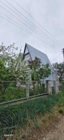 Массив Гайковських дач.  Річка Рось,Палієва гора,парк "Олександрія" - фото 1