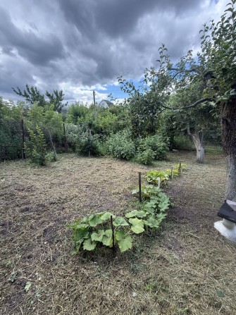Продаж дачного будинку в м. Біла церква , Сухий яр - фото 1