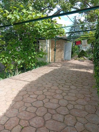 Продам будинок-дачу в Алтестово - фото 1