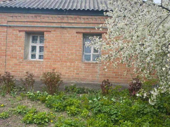 Будинок в Карлівці Карлівка