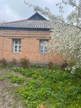 Будинок в Карлівці - фото 1