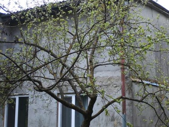 Продам будинок біля Рівного 25 с.землі Велика Омеляна