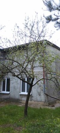 Продам будинок біля Рівного 25 с.землі - фото 1