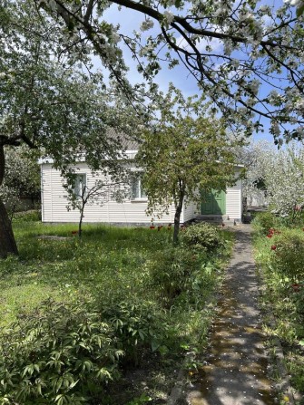 Продаеться будинок, 77м. кв в м. Корсунь-Шевченківський - фото 1