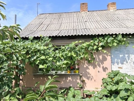 Продам будинок на 2 квартири, нагірна частина, Сертифікат Кременчук