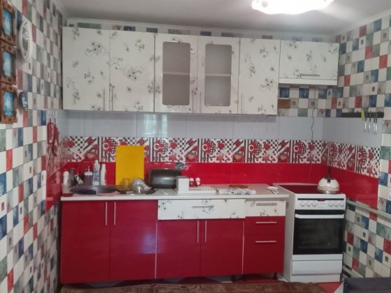 Продається будинок (велика ділянка) Монастырище