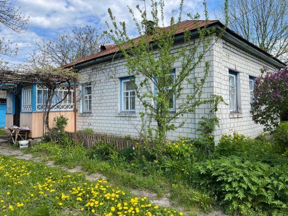 Продам житловий будинок у Носівці, 55 м², з меблями, господарські споруди, огород 0,24Га. Носовка