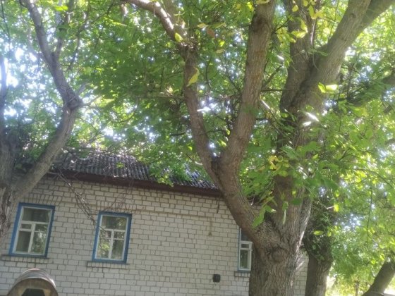 Продам будинок с.Ставок .торг Носовка