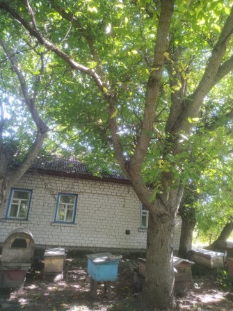 Продам будинок с.Ставок .торг - фото 1