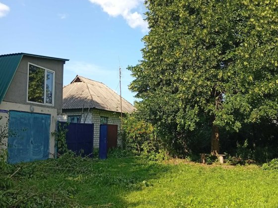 Будинок с. Лихолітки, Козелецької громади Козелец