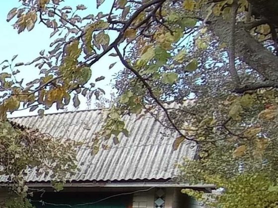 Продам участок з господарчою будівлею в м. Борзна