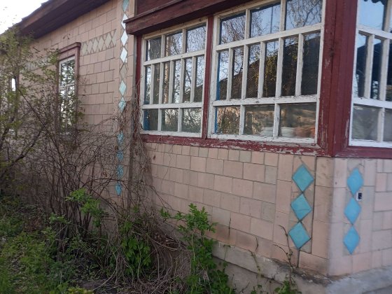Продам будинок в м. Борзна Борзна