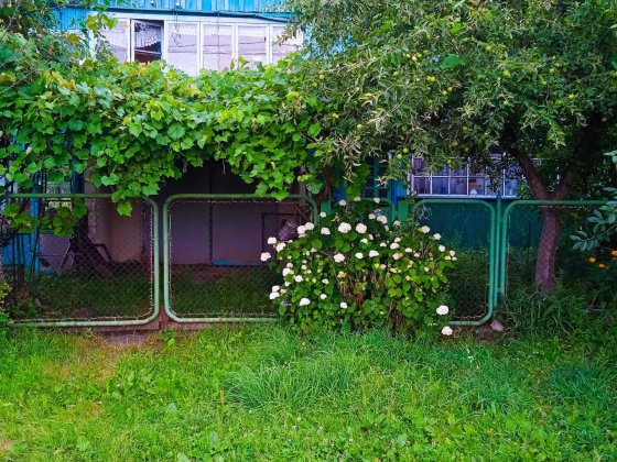 Продам полдома в г.Корюковка Корюківка