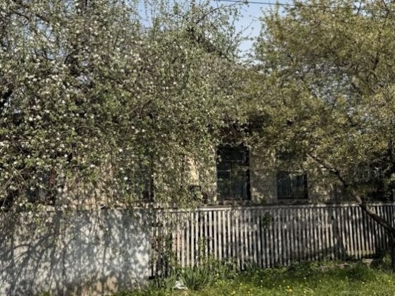 Продам будинок в Ріпках Репки