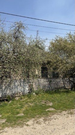 Продам будинок в Ріпках - фото 1
