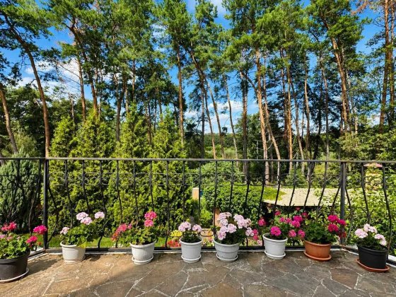 Продаж будинку 200м2 ,10соток , сосновий ліс , річка  30метрів №14164 Полтава