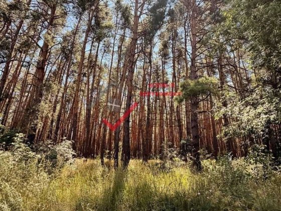 Продаж шикарної дачі біля соснового лісу Полтава