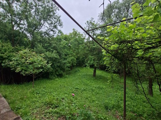 Продам дачу у товаристві терміново Чернівці
