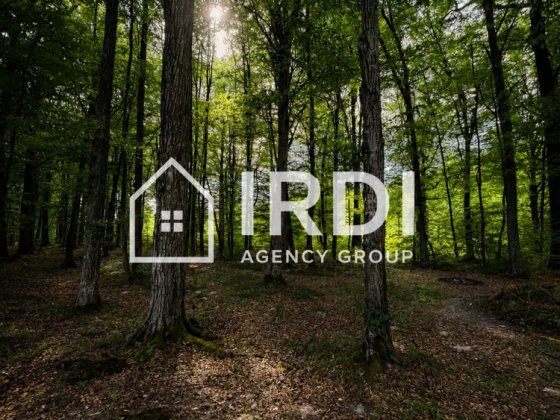 Продаж будинку з власним виходом до лісу Чернівці