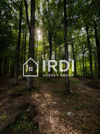 Продаж будинку з власним виходом до лісу - фото 1