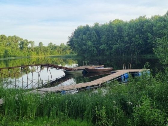 Дача на березі оз.Магістрацьке + баня+ альтанка-барбекю + понтон ! Чернігів