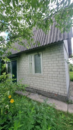 Продається доглянута дача з урожаєм ! Маршрутка від/до міста  два рази в день! - фото 1