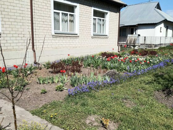 ЕКСКЛЮЗИВНИЙ ПРОДАЖ! Будинок, у який хочеться повернутися Черкаси
