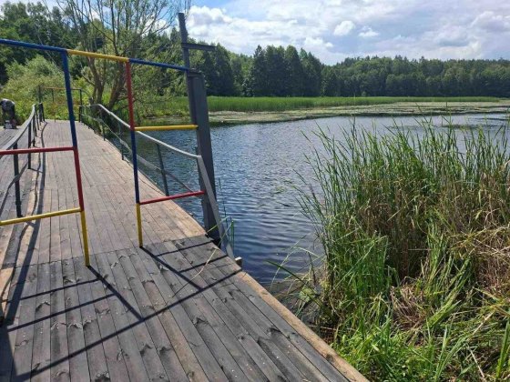 Будинок біля озера, с. Унучки, 25 соток землі v714 Чернігів