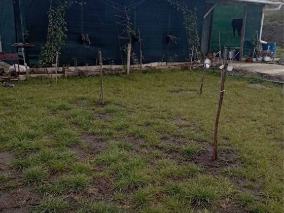 Продам не добудований будинок Чернівці