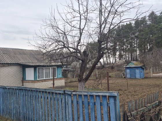 Продаю дачу від хазяїна. Чернігів