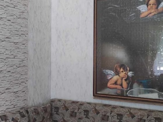 Здам квартиру 3 дівчатам Ківерці