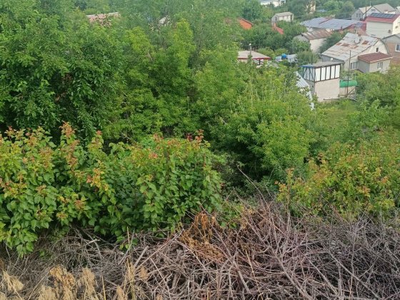 Сдам кімнату в частому доми Старые Кодаки