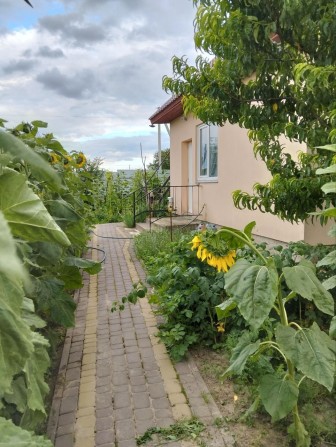 Здається будинок - фото 1