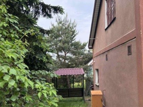 Сдам большой дачный дом в Обуховке Обуховка