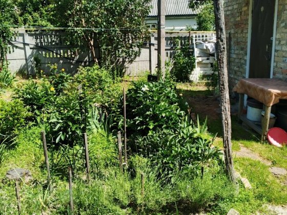 Здам домік,окремий,на літо. Нові Петрівці