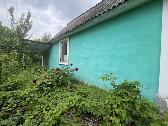 Оренда дачі село  Благодатне Благодатне