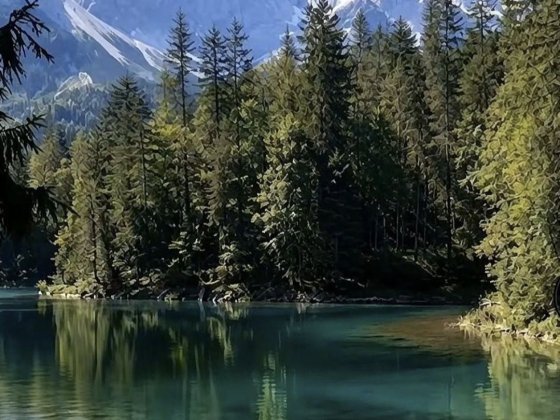 Здається двохкімнатна квартира поруч Мукачево. Мукачеве