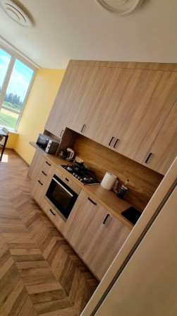 Оренда 1-кімнатної квартири в ЖК «Добре Місто», Чабани - фото 1