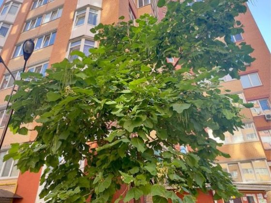 Чудова, простора, доглянута 1к квартира Центральний парк Ірпінь