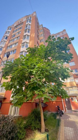 Чудова, простора, доглянута 1к квартира Центральний парк - фото 1