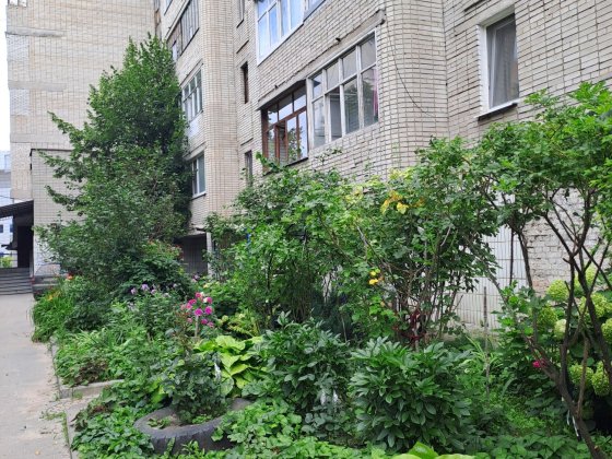 1 кімнатна квартира біля ринку Сумы
