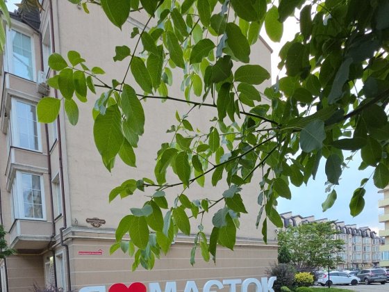 2 Кімн Квартира Окремі Кімнати біля Парку Жк Маєток Боздош