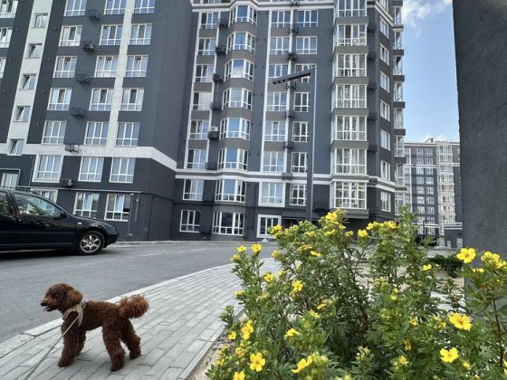 Продаж 1-кімнатна квартира вул. Лісова, 42в Чернигов