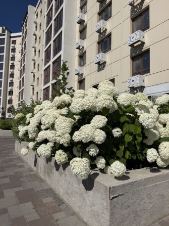 Продам 1к.кв ЖК Олімп! Базовий ремонт! 4/9к - фото 1