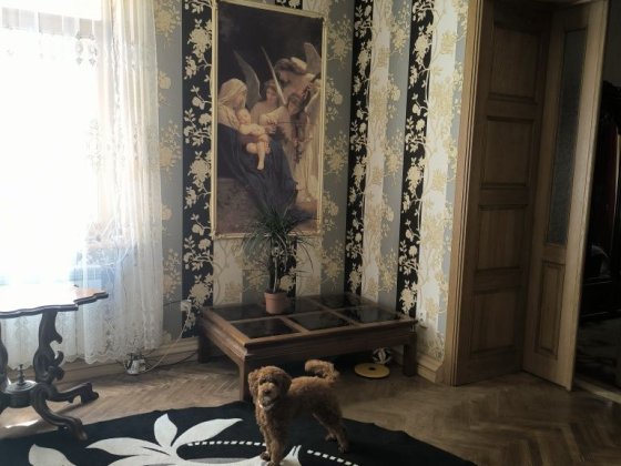 Квартира в центрі міста Чернівці